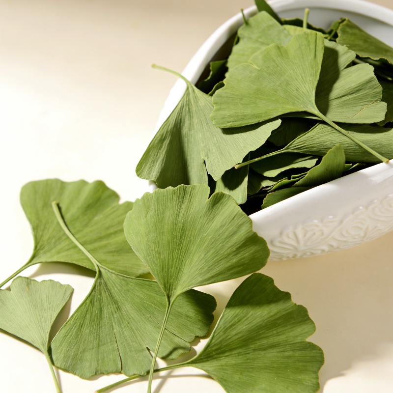 Quality Ginkgo Biloba Dried Le - Jewelry Making 3 Year Old recension och pris